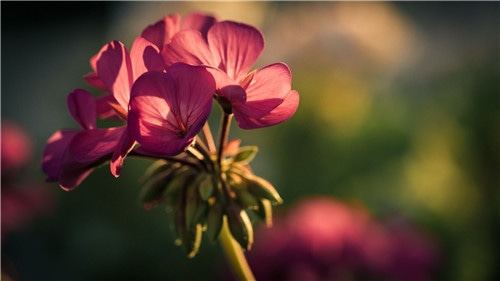 1588992090888787.jpg 3d54b82f4ae2d15dffaedc324d9d5bcc.jpg